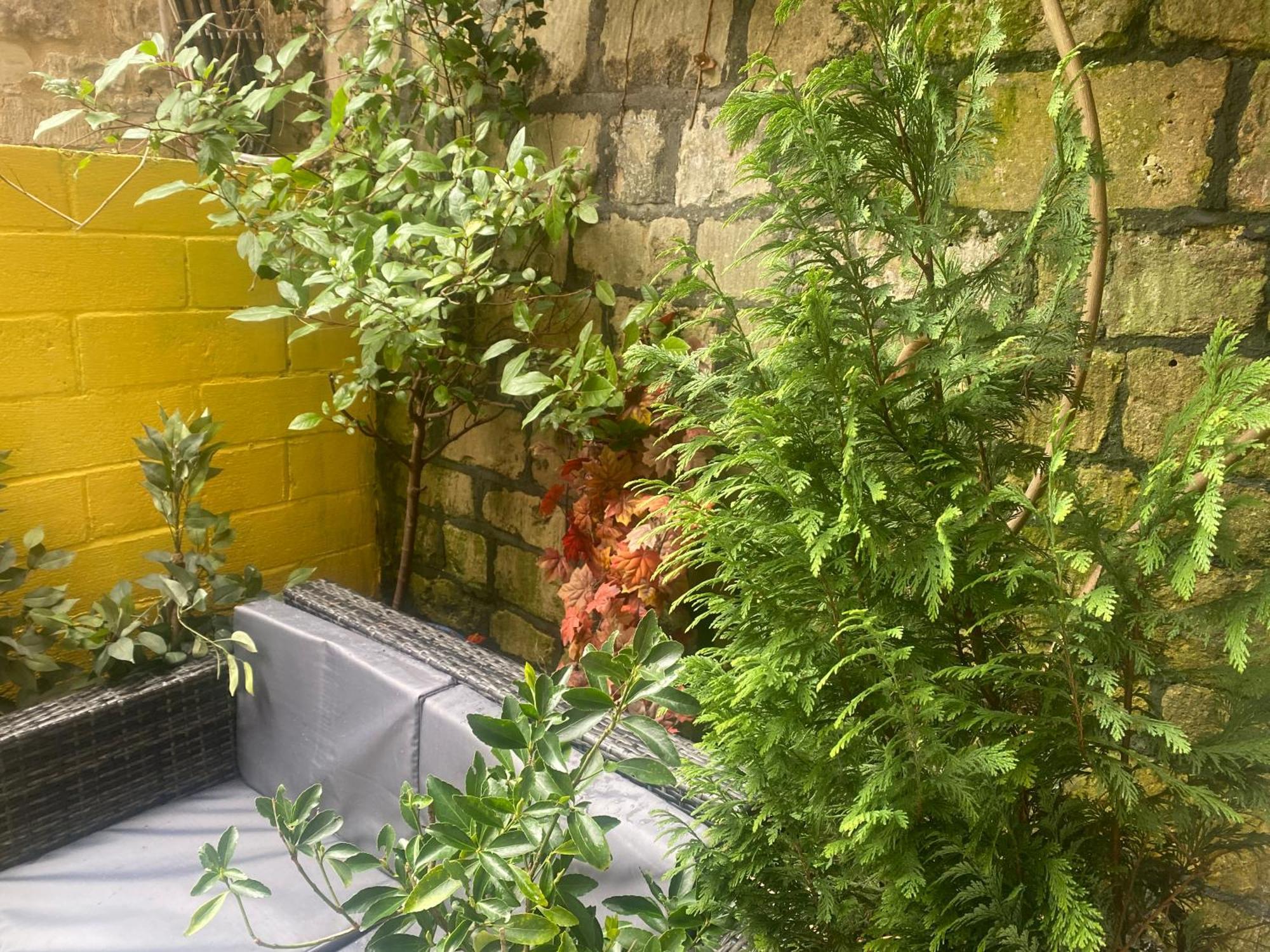 Quiet Lower Floor 2 Bed City Apartment With Private Patio Garden Bath Zewnętrze zdjęcie